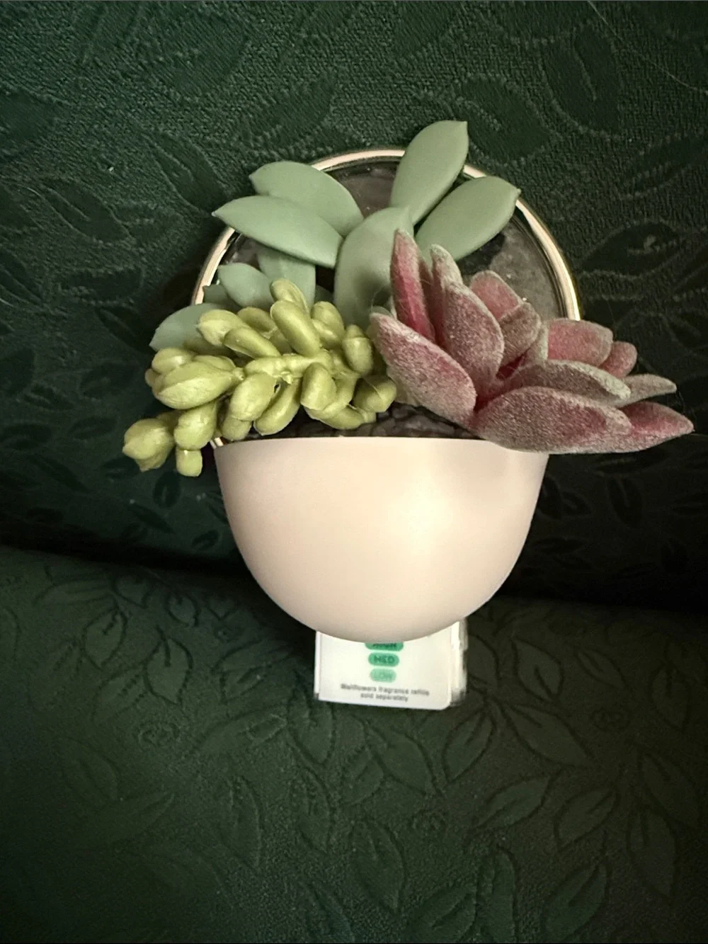 NWT Bath & Body Works Succulent Plants with Green Foliage.  Scent Control light.